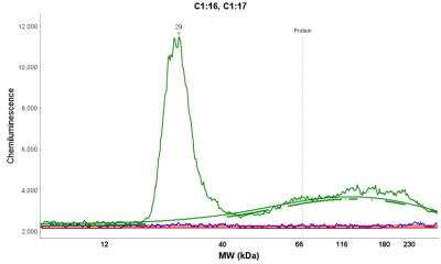 Simple Western Analysis of Histone H2AX in Jurkat Cell Lysate